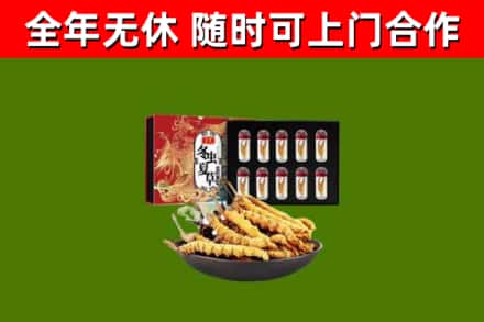 古市回收冬虫夏草价格